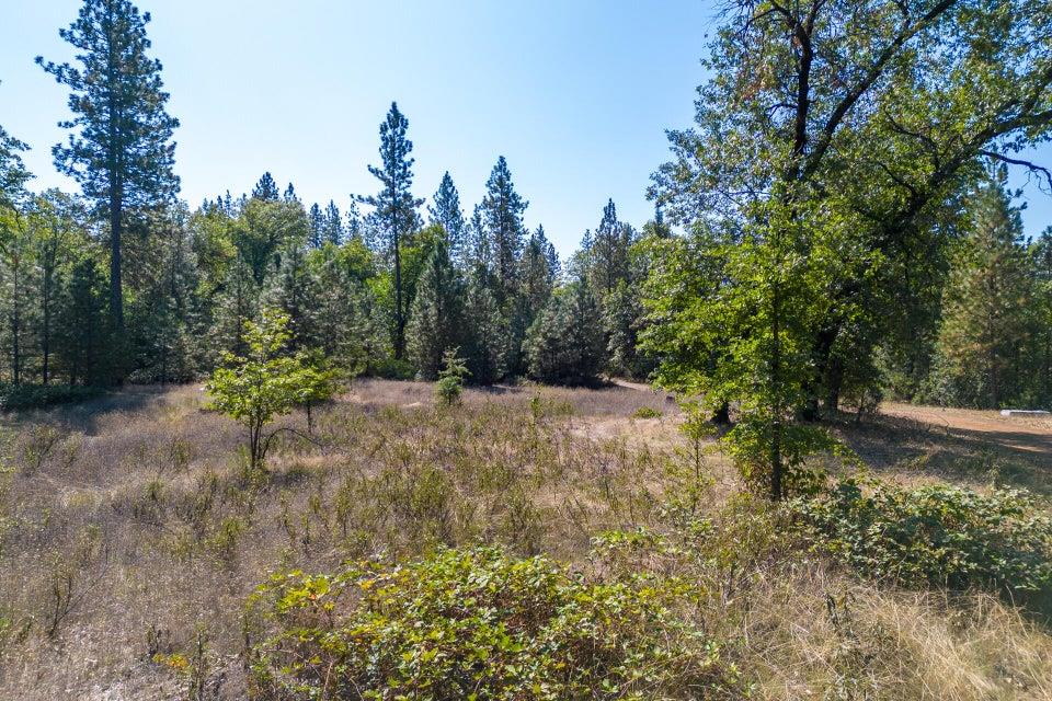 Detail Gallery Image 16 of 26 For 17 Acres Antlers Rd, Lakehead,  CA 96051 - – Beds | – Baths
