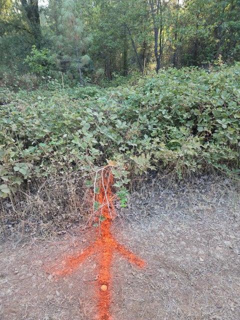 Detail Gallery Image 21 of 26 For 17 Acres Antlers Rd, Lakehead,  CA 96051 - – Beds | – Baths