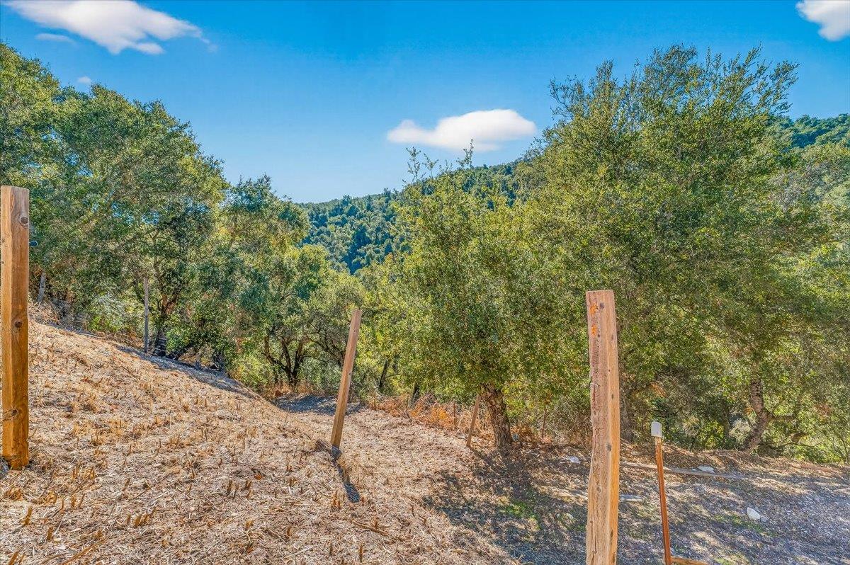 Detail Gallery Image 47 of 58 For 21444 Parrott Ranch Rd, Carmel Valley,  CA 93924 - 3 Beds | 2 Baths