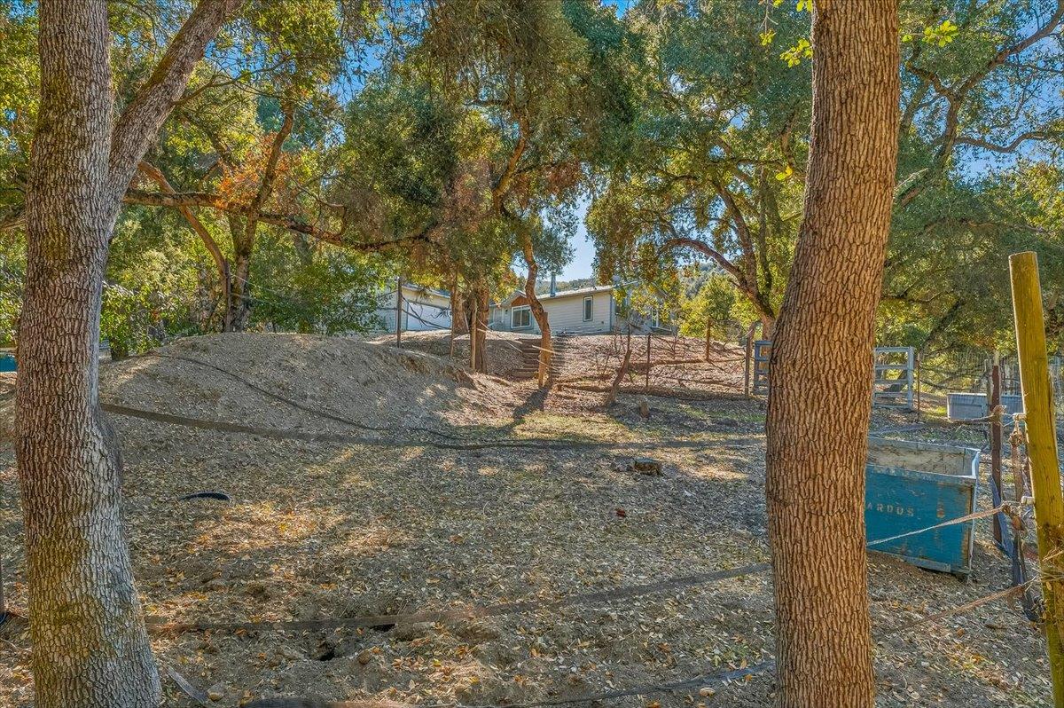 Detail Gallery Image 49 of 58 For 21444 Parrott Ranch Rd, Carmel Valley,  CA 93924 - 3 Beds | 2 Baths