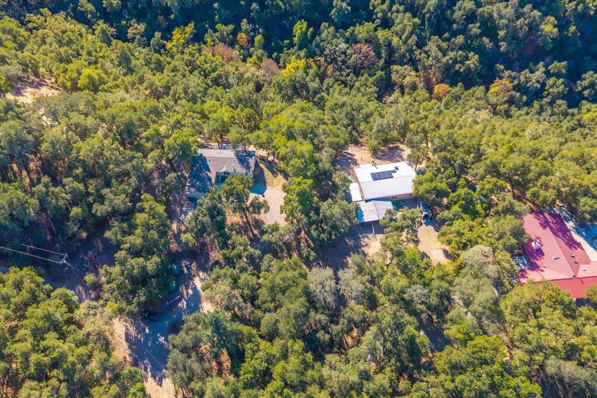 Detail Gallery Image 50 of 58 For 21444 Parrott Ranch Rd, Carmel Valley,  CA 93924 - 3 Beds | 2 Baths