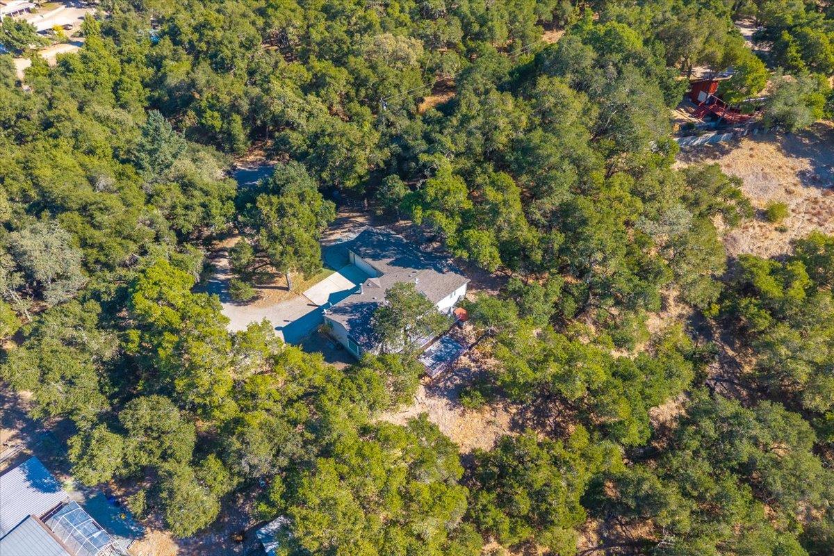 Detail Gallery Image 51 of 58 For 21444 Parrott Ranch Rd, Carmel Valley,  CA 93924 - 3 Beds | 2 Baths