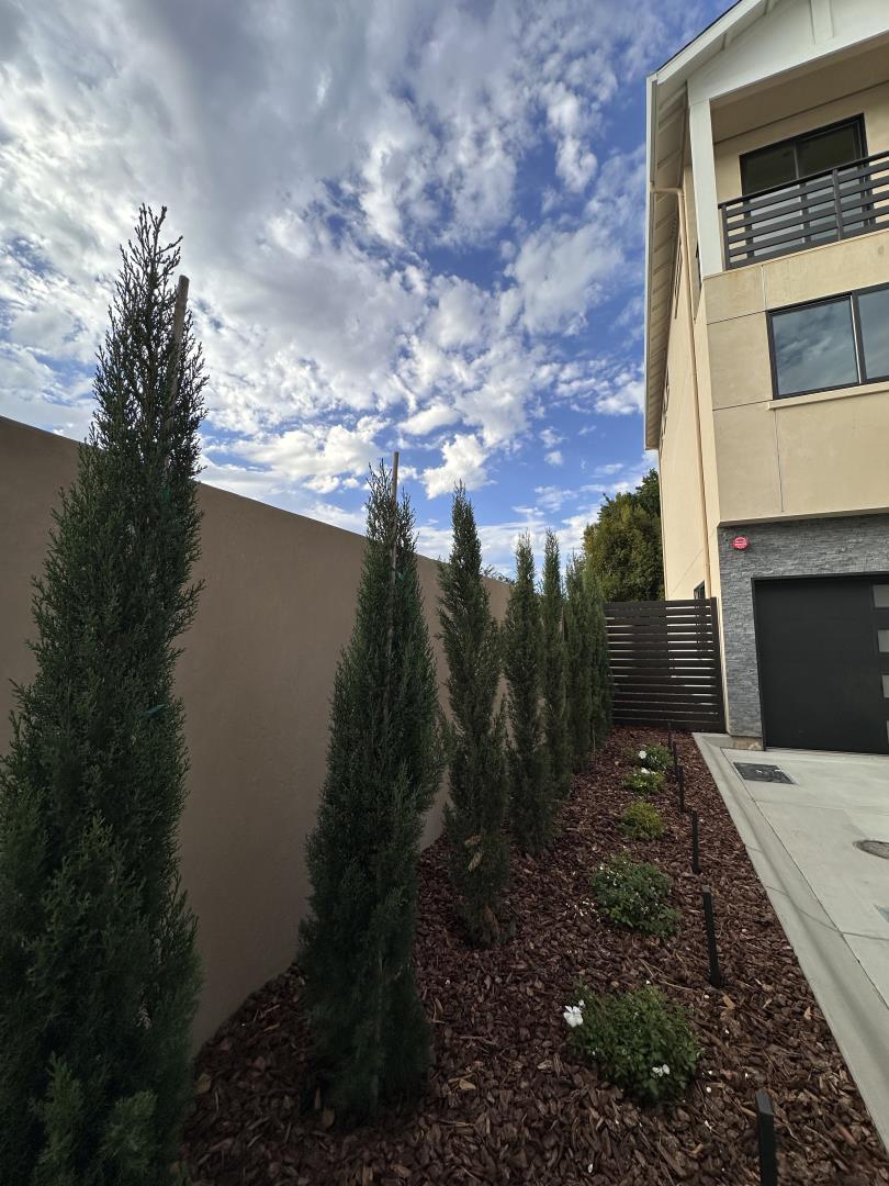 Detail Gallery Image 13 of 28 For 511 Union Ave, Campbell,  CA 95008 - 2 Beds | 2/1 Baths