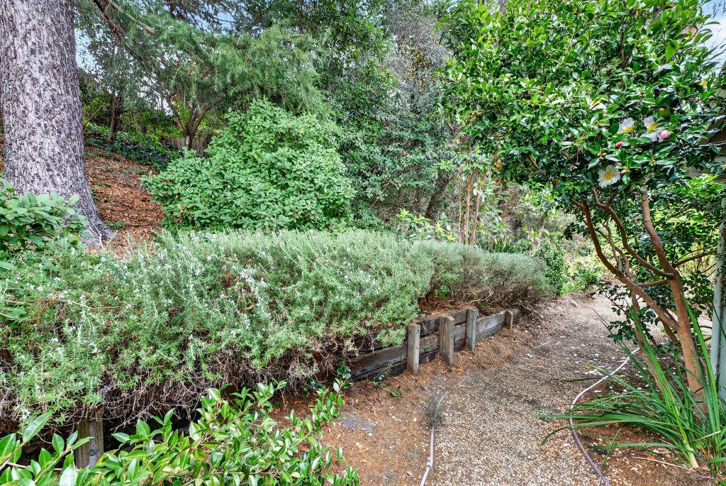 Detail Gallery Image 41 of 55 For 118 Las Ondas Ct, Santa Cruz,  CA 95060 - 3 Beds | 2 Baths