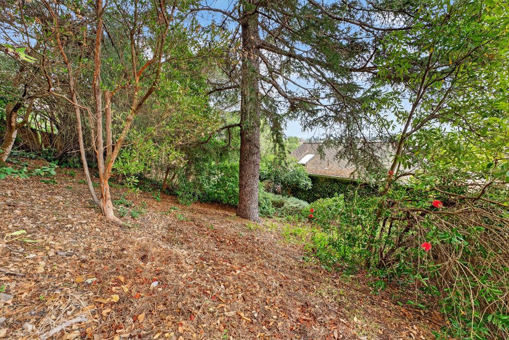 Detail Gallery Image 46 of 55 For 118 Las Ondas Ct, Santa Cruz,  CA 95060 - 3 Beds | 2 Baths