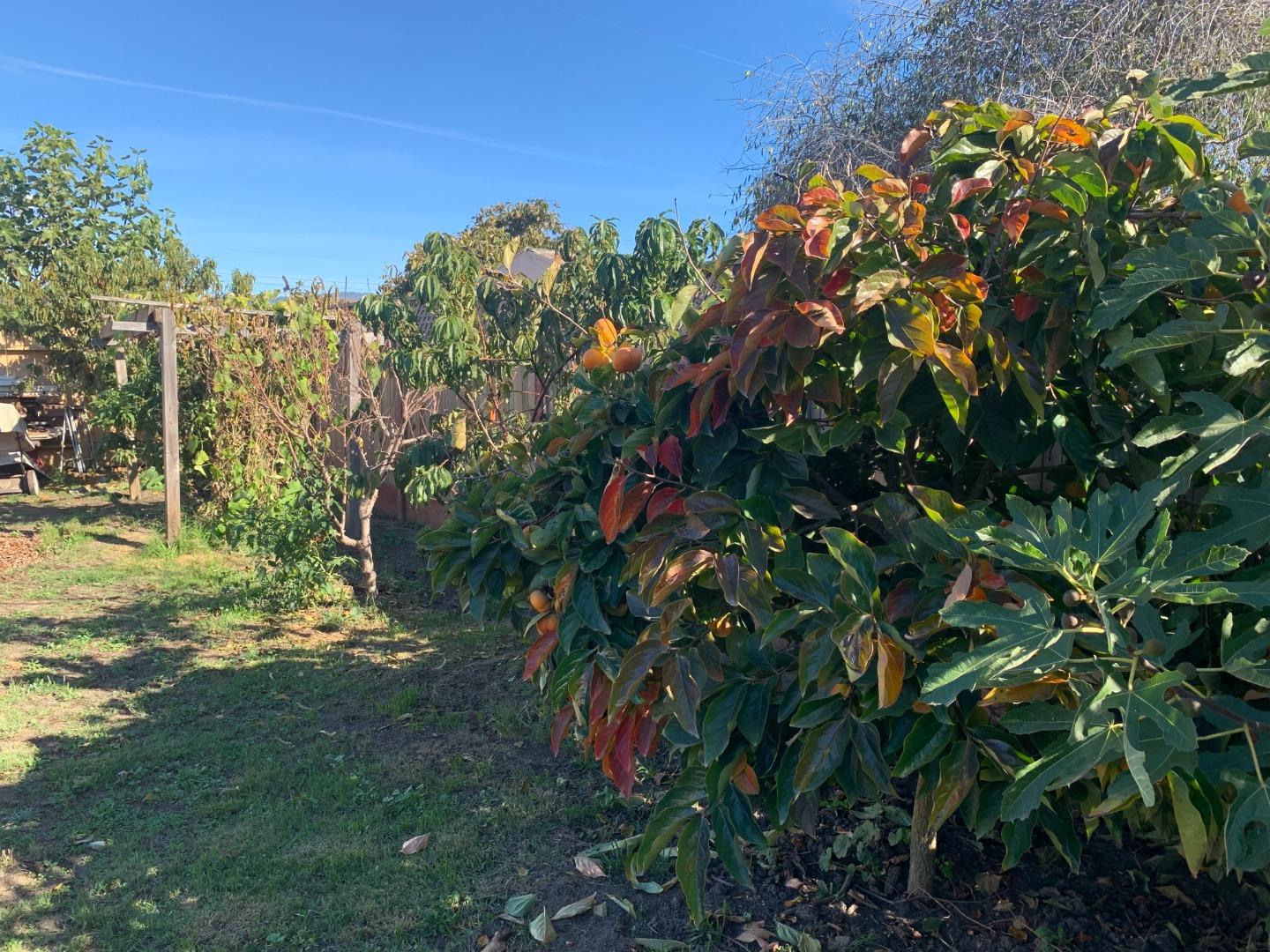 Detail Gallery Image 18 of 22 For 166 Afton Rd, Salinas,  CA 93905 - 2 Beds | 1 Baths