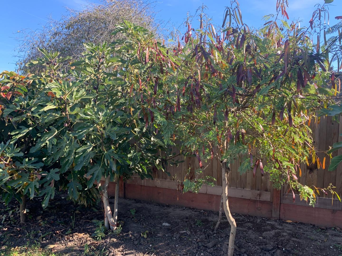 Detail Gallery Image 19 of 22 For 166 Afton Rd, Salinas,  CA 93905 - 2 Beds | 1 Baths