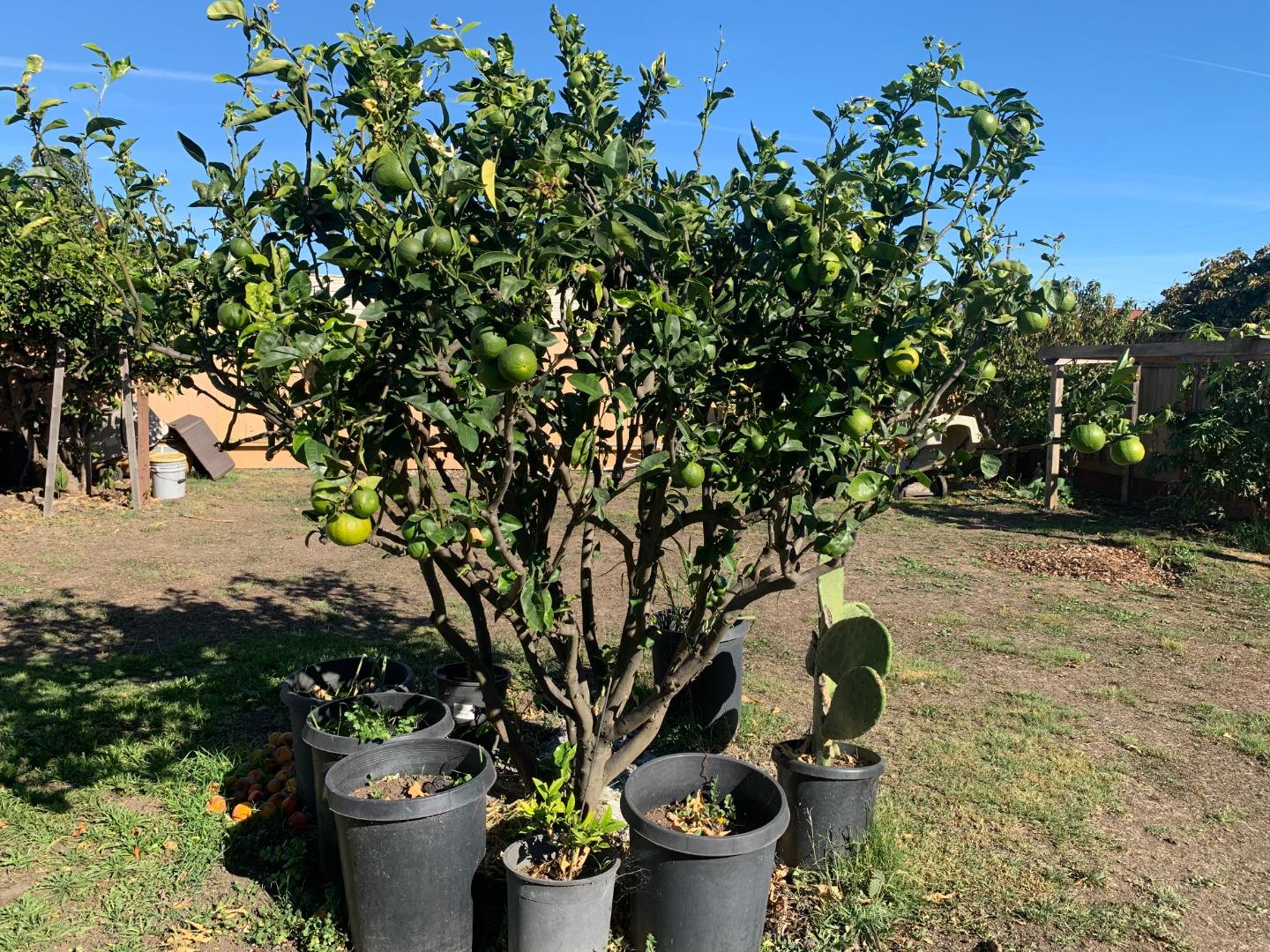 Detail Gallery Image 22 of 22 For 166 Afton Rd, Salinas,  CA 93905 - 2 Beds | 1 Baths