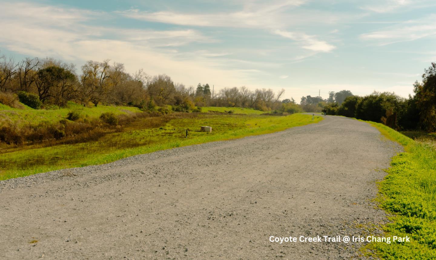 Detail Gallery Image 54 of 54 For 430 Galleria Dr #4,  San Jose,  CA 95134 - 3 Beds | 3 Baths