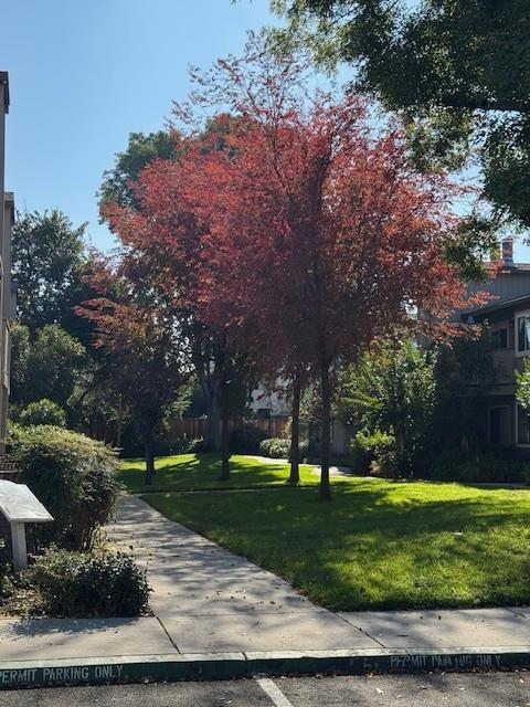 Detail Gallery Image 11 of 15 For 3449 Wine Cask Way, San Jose,  CA 95124 - 1 Beds | 1 Baths