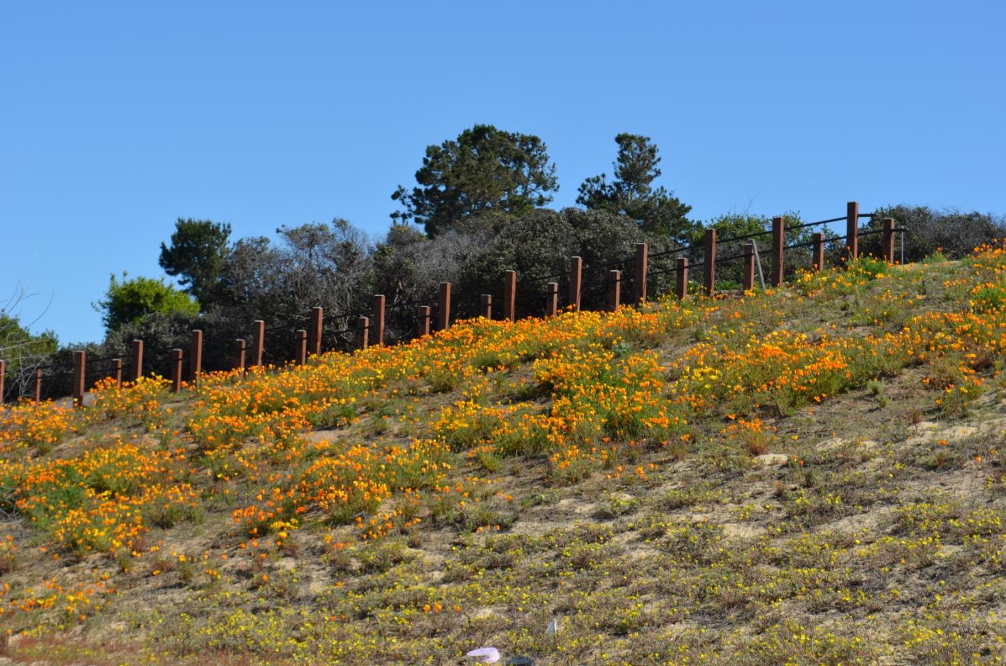 Detail Gallery Image 43 of 48 For 2760 Bungalow Dr, Marina,  CA 93933 - 3 Beds | 2/1 Baths