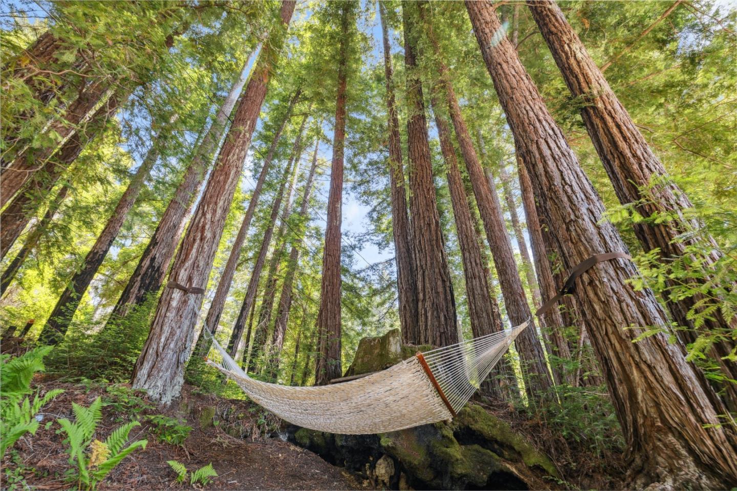 Detail Gallery Image 41 of 61 For 716 Dry Well Rd, Boulder Creek,  CA 95006 - 4 Beds | 2/1 Baths