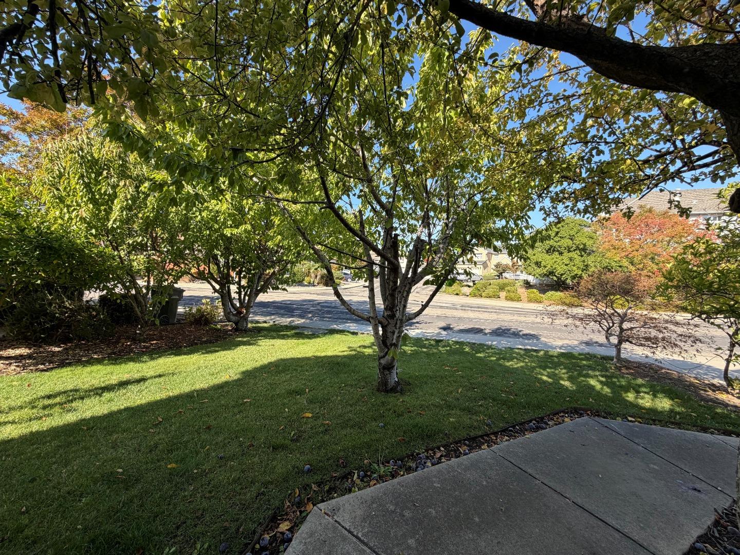 Detail Gallery Image 53 of 53 For 1964 Finger Peak Way, Antioch,  CA 94531 - 5 Beds | 5/1 Baths