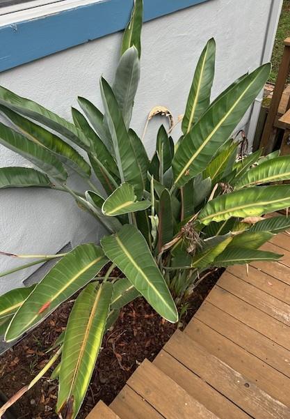 Detail Gallery Image 43 of 54 For 525 Wellington Dr, San Carlos,  CA 94070 - 4 Beds | 3 Baths