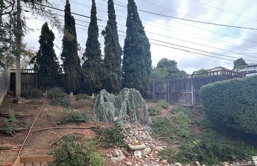 Detail Gallery Image 52 of 54 For 525 Wellington Dr, San Carlos,  CA 94070 - 4 Beds | 3 Baths