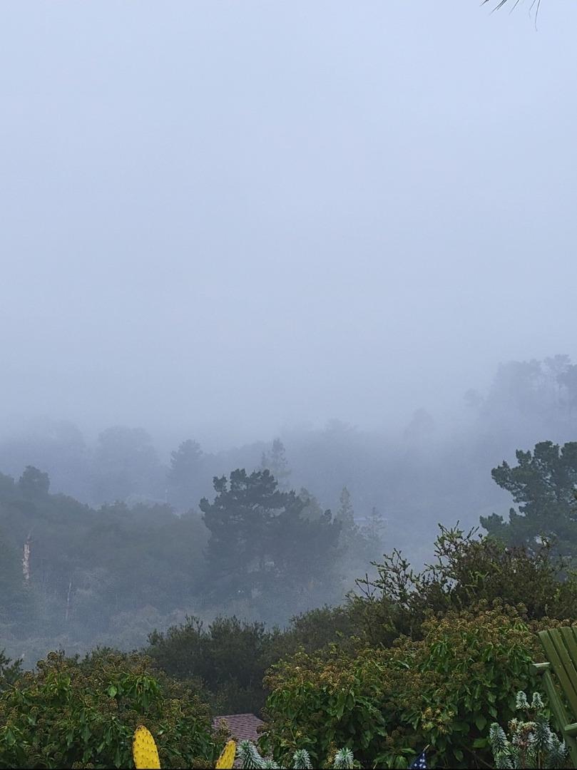 Detail Gallery Image 20 of 54 For 7561 Chester Dr, Salinas,  CA 93907 - 3 Beds | 2 Baths