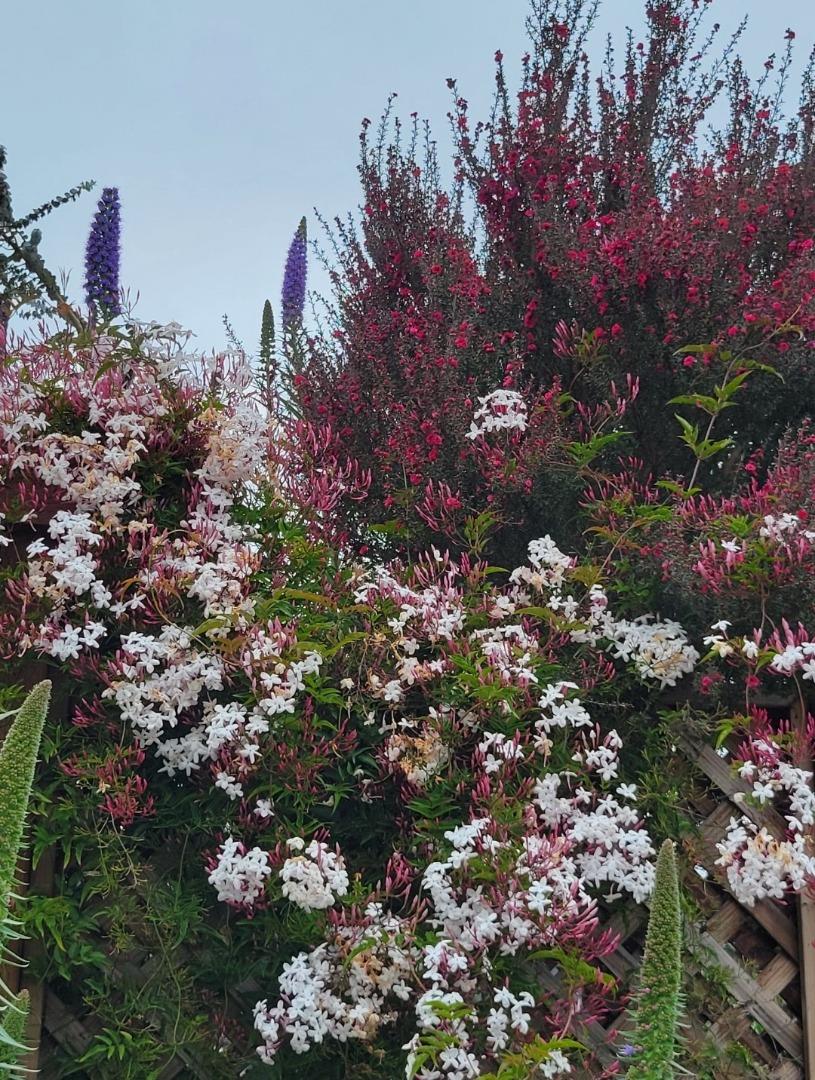 Detail Gallery Image 32 of 54 For 7561 Chester Dr, Salinas,  CA 93907 - 3 Beds | 2 Baths