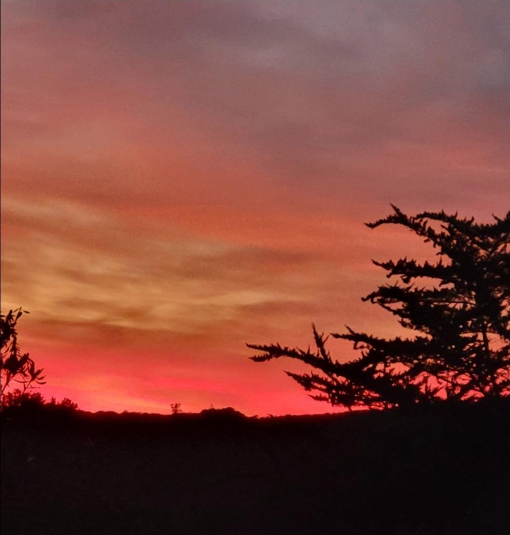 Detail Gallery Image 54 of 54 For 7561 Chester Dr, Salinas,  CA 93907 - 3 Beds | 2 Baths