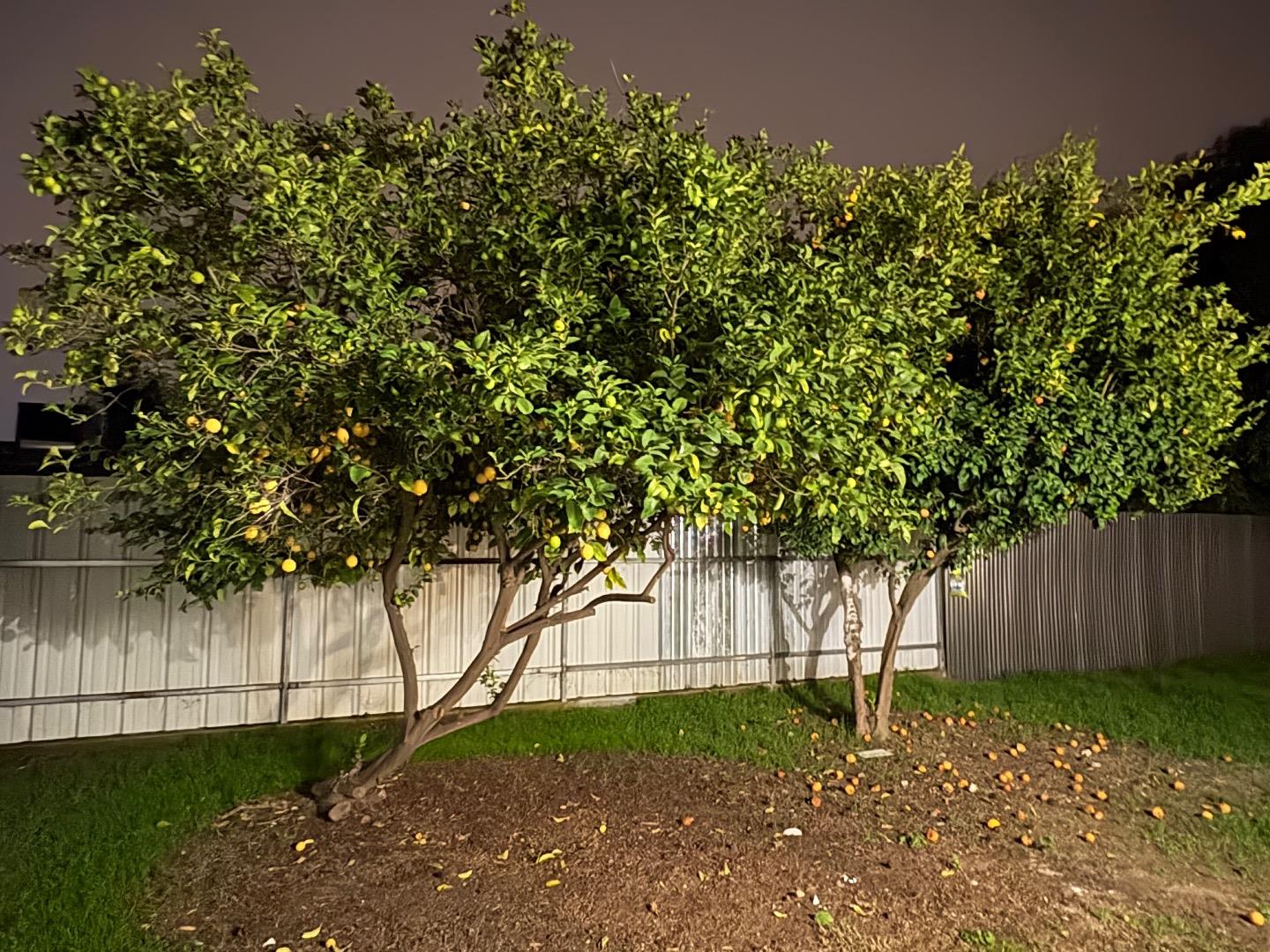 Detail Gallery Image 32 of 32 For 6042 Coad Ln, Riverbank,  CA 95367 - 3 Beds | 2 Baths