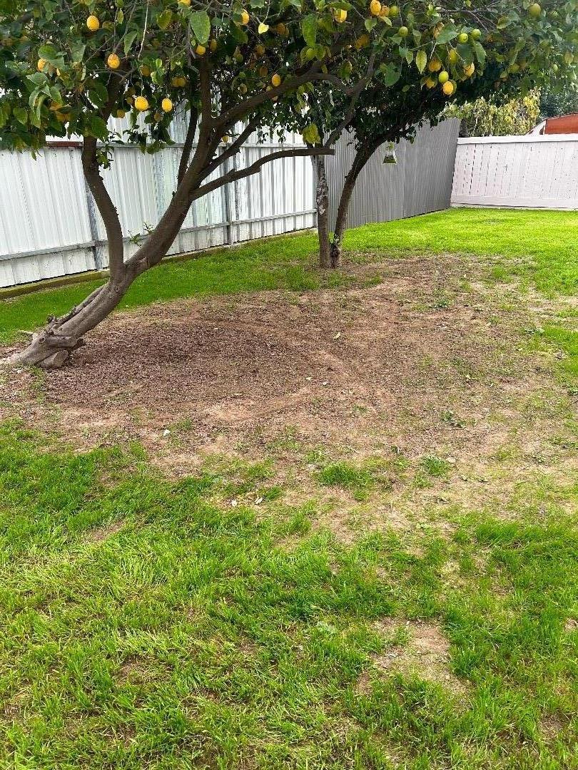 Detail Gallery Image 35 of 39 For 6042 Coad Ln, Riverbank,  CA 95367 - 3 Beds | 2 Baths