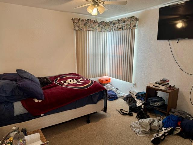 Detail Gallery Image 13 of 17 For 920 Warren St, Redwood City,  CA 94063 - – Beds | – Baths