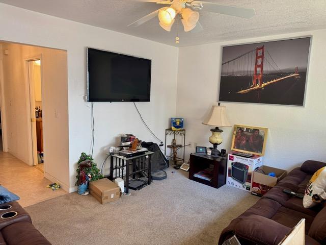 Detail Gallery Image 8 of 17 For 920 Warren St, Redwood City,  CA 94063 - – Beds | – Baths