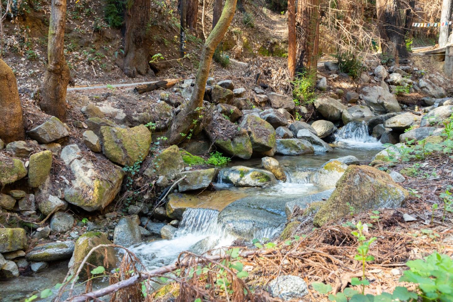 Detail Gallery Image 20 of 29 For 11810 Clear Creek, Brookdale,  CA 95007 - – Beds | – Baths