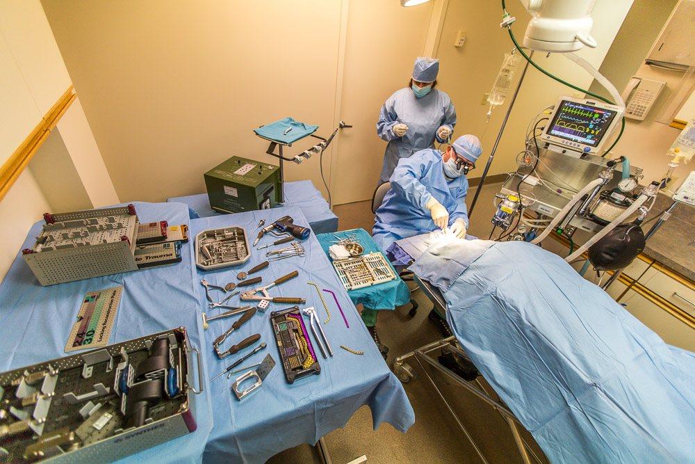 Detail Gallery Image 10 of 10 For 987 Laurel St, San Carlos,  CA 94070 - – Beds | – Baths