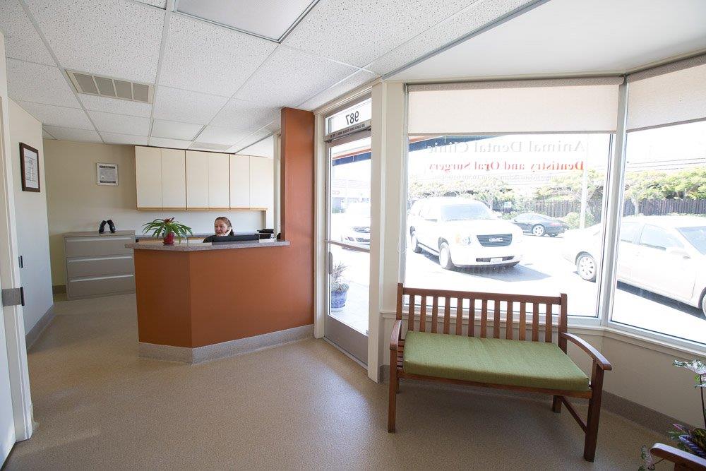 Detail Gallery Image 8 of 10 For 987 Laurel St, San Carlos,  CA 94070 - – Beds | – Baths