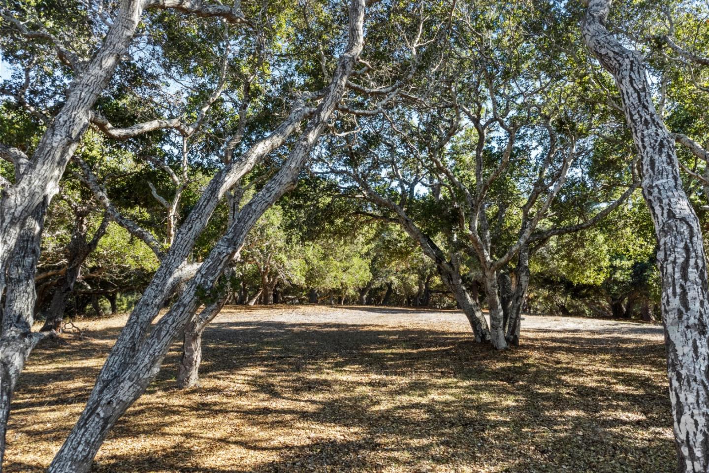 9 Corral Run, Carmel, CA, 93923
