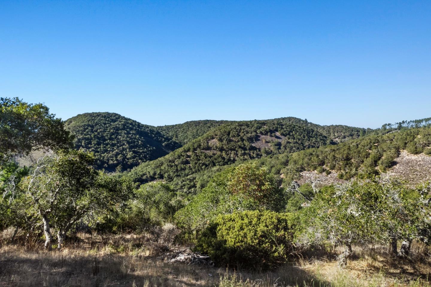 9 Corral Run, Carmel, CA, 93923