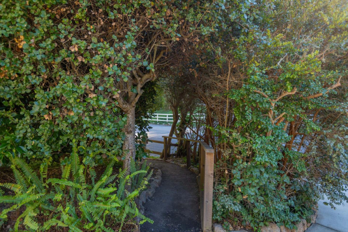 Detail Gallery Image 4 of 26 For 25315 Flanders Dr, Carmel,  CA 93923 - 3 Beds | 2/2 Baths