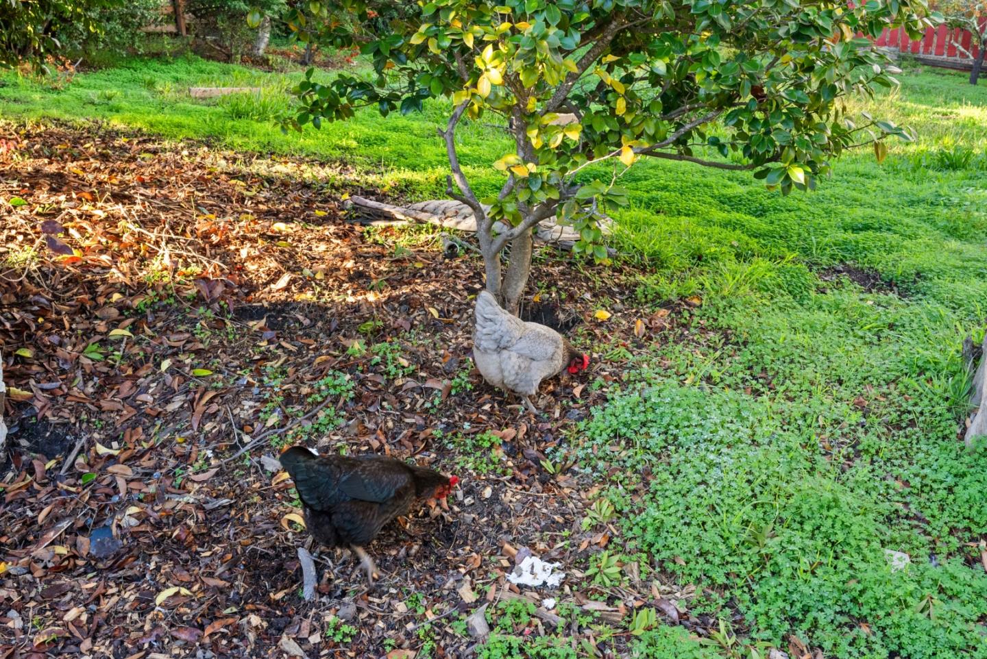 Detail Gallery Image 19 of 42 For 2301 Soquel San Jose Rd, Soquel,  CA 95073 - 2 Beds | 2 Baths