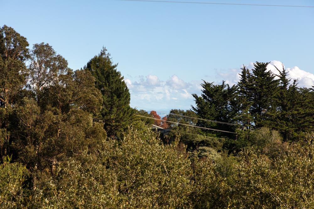 Detail Gallery Image 17 of 28 For 229 Alamo Ave, Santa Cruz,  CA 95060 - 2 Beds | 2 Baths