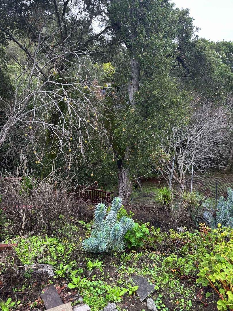 Detail Gallery Image 26 of 29 For 25 via Delizia, Hillsborough,  CA 94010 - 1 Beds | 1 Baths