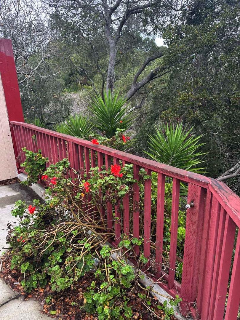 Detail Gallery Image 27 of 29 For 25 via Delizia, Hillsborough,  CA 94010 - 1 Beds | 1 Baths