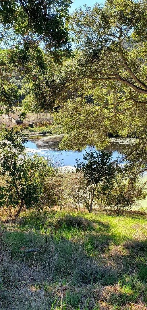 Detail Gallery Image 45 of 55 For 20160 Rock Springs Ln, Aromas,  CA 95004 - 4 Beds | 2/1 Baths