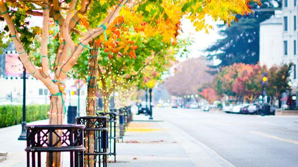 Detail Gallery Image 33 of 34 For 100 E Middlefield Rd 6g,  Mountain View,  CA 94043 - 2 Beds | 2 Baths