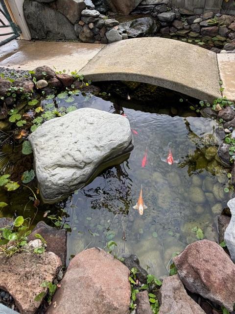 Detail Gallery Image 26 of 28 For 131 30th Ave, Santa Cruz,  CA 95062 - 4 Beds | 3 Baths