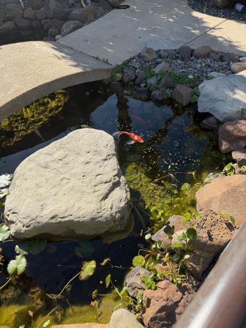 Detail Gallery Image 27 of 28 For 131 30th Ave, Santa Cruz,  CA 95062 - 4 Beds | 3 Baths