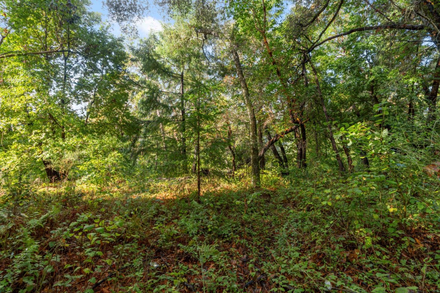 Detail Gallery Image 10 of 16 For Lot 53 Lakeview Ave, Felton,  CA 95018 - – Beds | – Baths