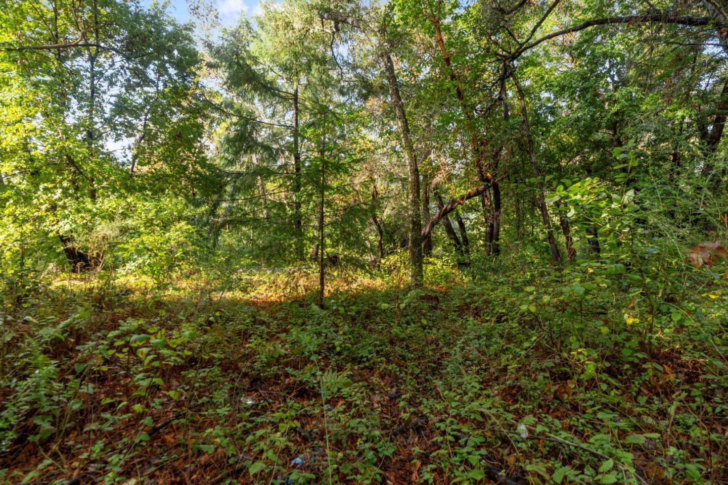 Detail Gallery Image 11 of 16 For Lot 53 Lakeview Ave, Felton,  CA 95018 - – Beds | – Baths