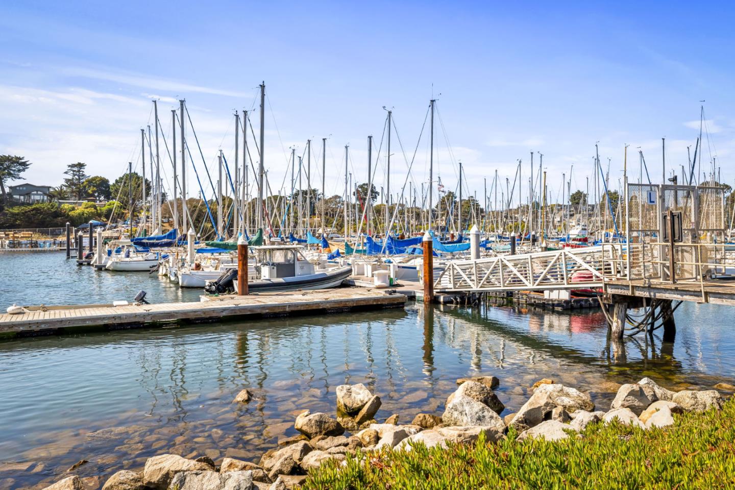 Detail Gallery Image 27 of 29 For 260 Lake Ave #1,  Santa Cruz,  CA 95062 - 2 Beds | 2 Baths