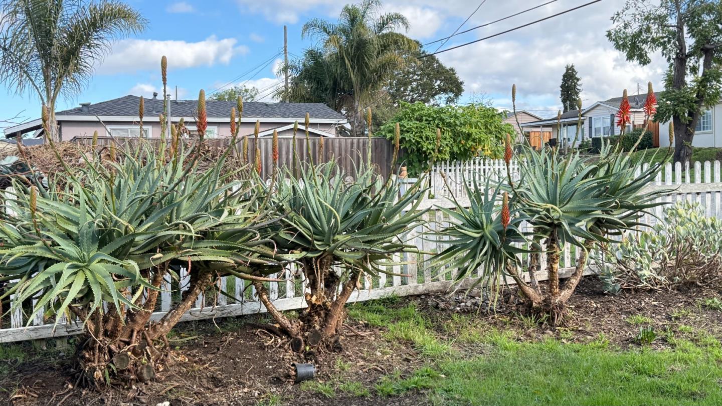 Detail Gallery Image 16 of 30 For 271 Paul Ave, Salinas,  CA 93906 - 3 Beds | 2 Baths