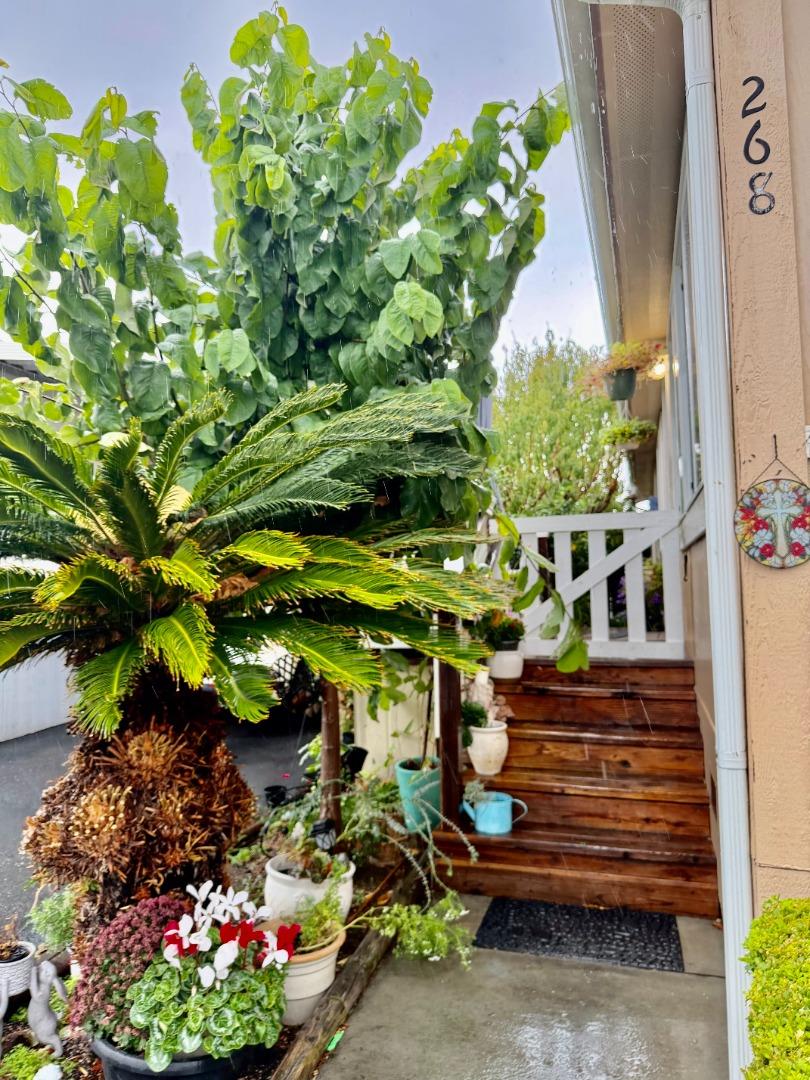 Detail Gallery Image 10 of 10 For 165 Blossom Hill  #268 Rd #268,  San Jose,  CA 95123 - 3 Beds | 2 Baths