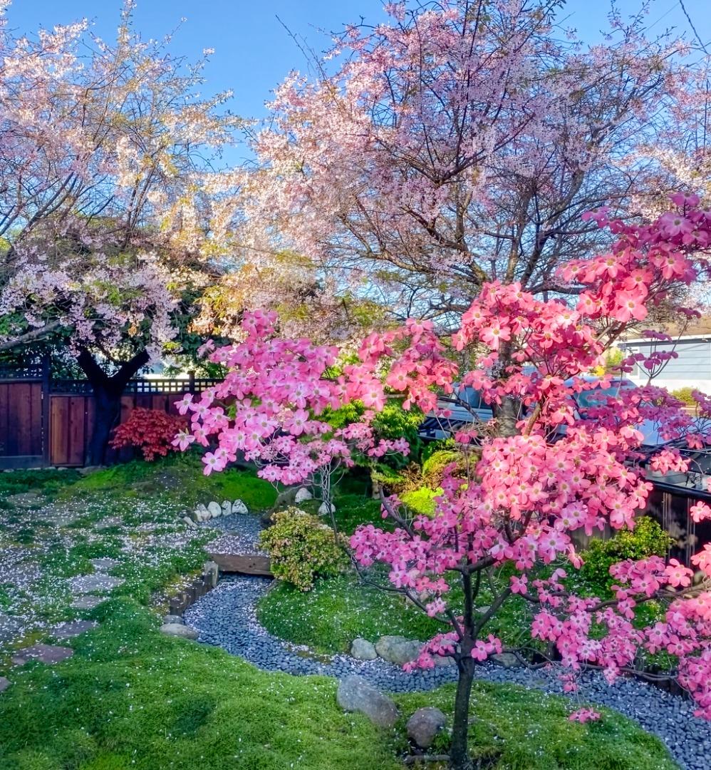 Detail Gallery Image 2 of 42 For 1318 Huron Ave, San Mateo,  CA 94401 - 4 Beds | 2 Baths