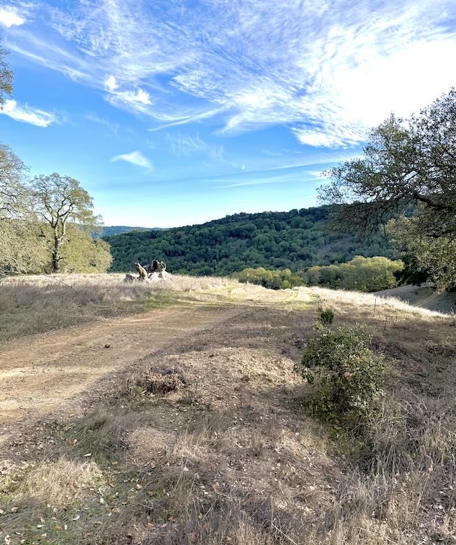 Detail Gallery Image 2 of 5 For 0 via Vespero, San Jose,  CA 95120 - – Beds | – Baths