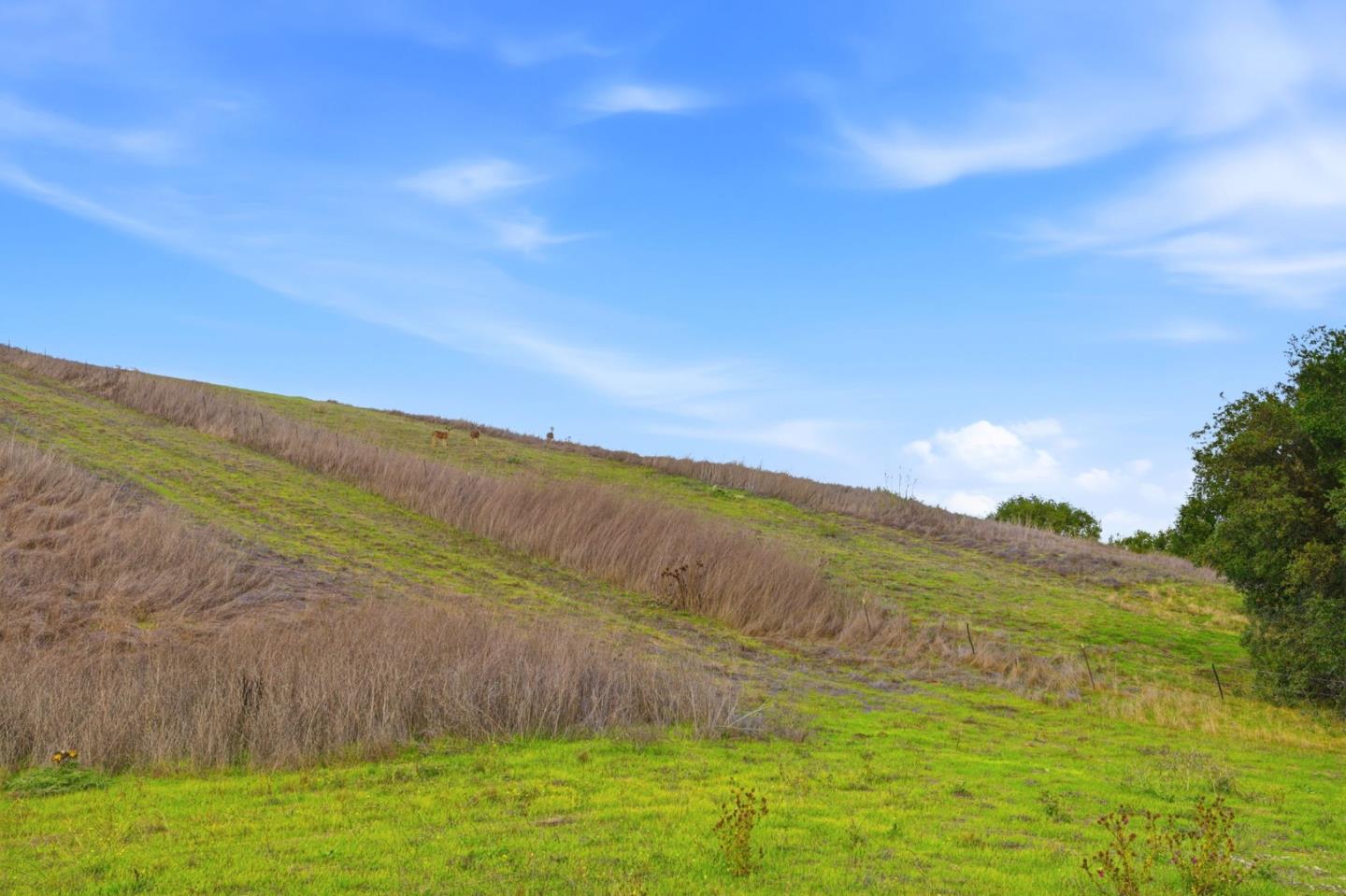 Detail Gallery Image 26 of 26 For 450 Bollinger Canyon Ln #390,  San Ramon,  CA 94582 - 1 Beds | 1 Baths