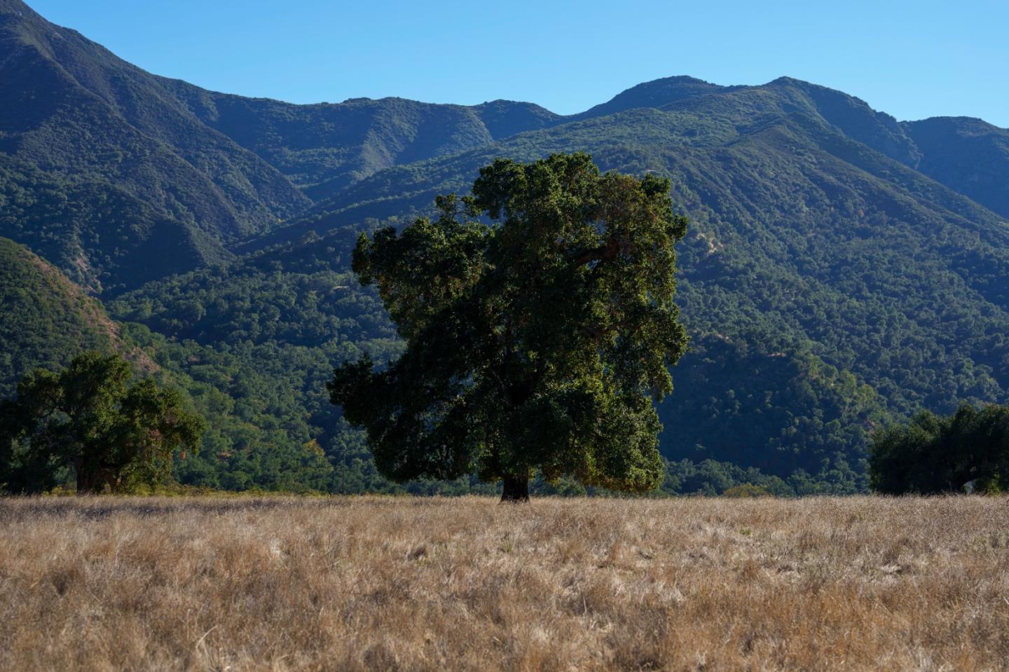 Detail Gallery Image 11 of 31 For 47275 Arroyo Seco Rd, Greenfield,  CA 93927 - – Beds | – Baths