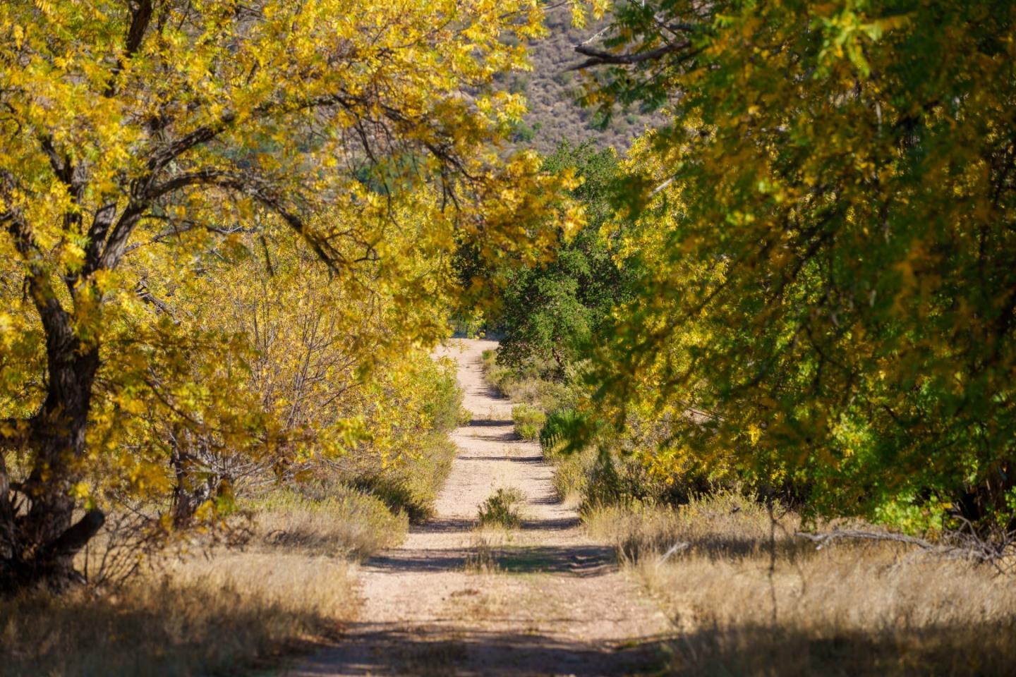 Detail Gallery Image 9 of 31 For 47275 Arroyo Seco Rd, Greenfield,  CA 93927 - – Beds | – Baths
